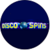 Disco Spins Logo